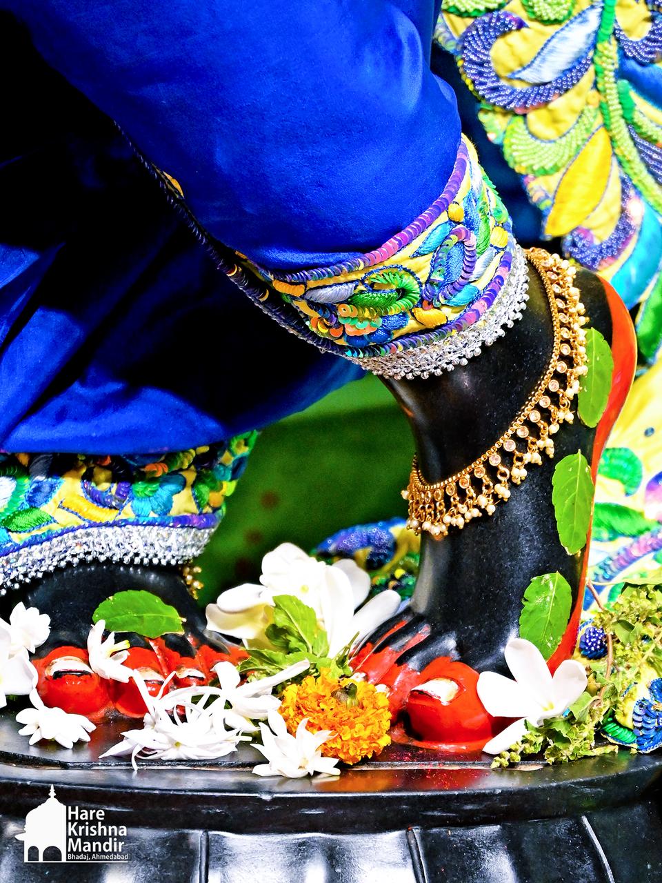 2026-05-12 Darshan